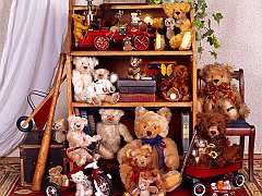 Bookcase Bears